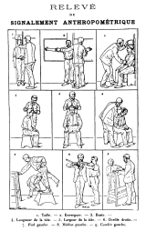 800px bertillon signalement anthropometrique