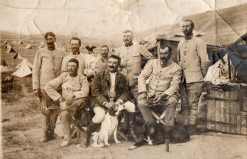 Carte postale leonard