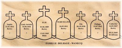 Delhaye wanecq