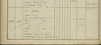 Fanny stein assistance