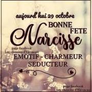 Fete narcisse
