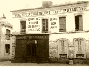 Bohain commerce Matisse