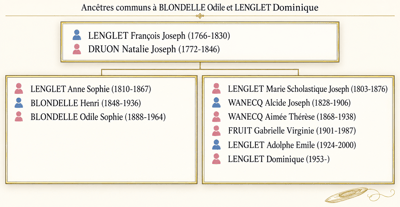 Parente bouvelle