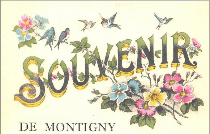 Souvenir de montigny