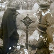 Tombe marronier guerre id 