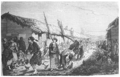 Village colons